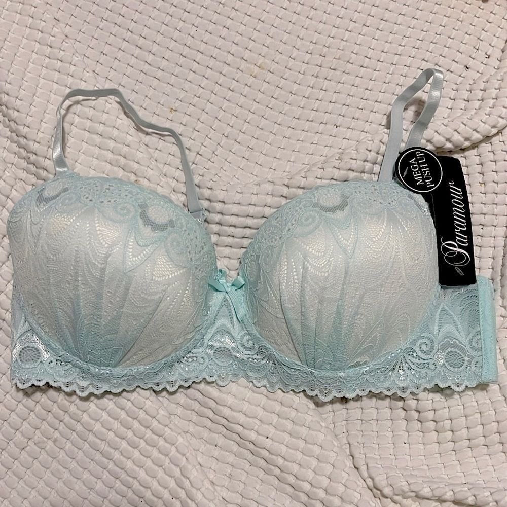 NWT- Paramour- 36B & 36C . Mega push up